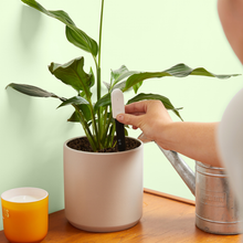 Load image into Gallery viewer, Moisture Meter
