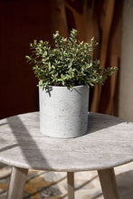 Load image into Gallery viewer, Max M, Grey Washed 16”
