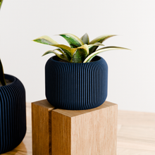 Load image into Gallery viewer, ORBIS Planter
