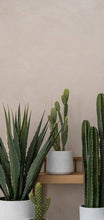 Load image into Gallery viewer, Patt, White Washed
