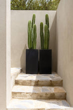 Load image into Gallery viewer, Bouvy M, Black 12&quot;
