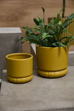 Load image into Gallery viewer, Fara Pot
