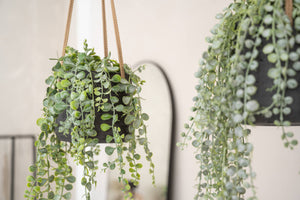 Patt Hanging, Black Washed