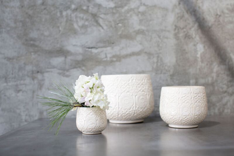 Francis Pot – Casaplanta Miami
