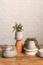 Load image into Gallery viewer, Heather Pot
