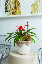 Load image into Gallery viewer, Hideaway Pot
