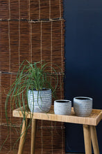 Load image into Gallery viewer, Jupiter Pot
