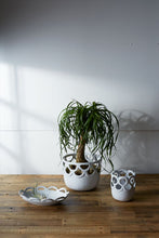 Load image into Gallery viewer, Lattice Collection
