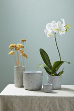 Load image into Gallery viewer, Millie Collection
