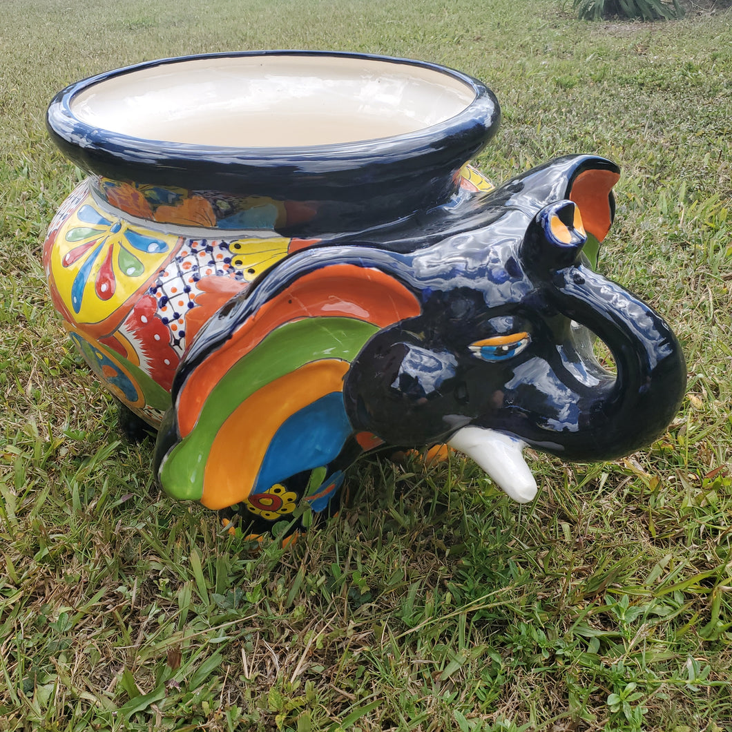 TC Elephant Michoacana 10