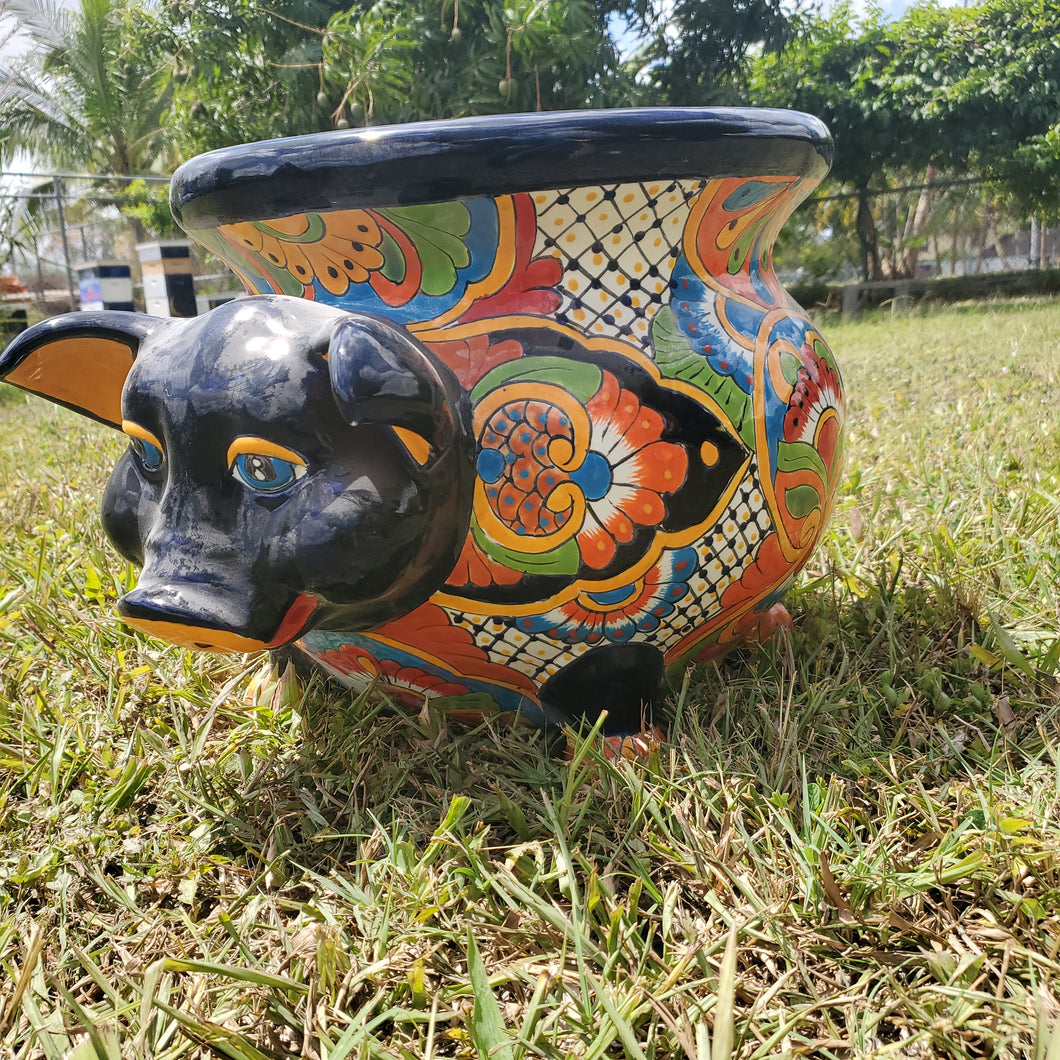 TC Pig Michoacana 15