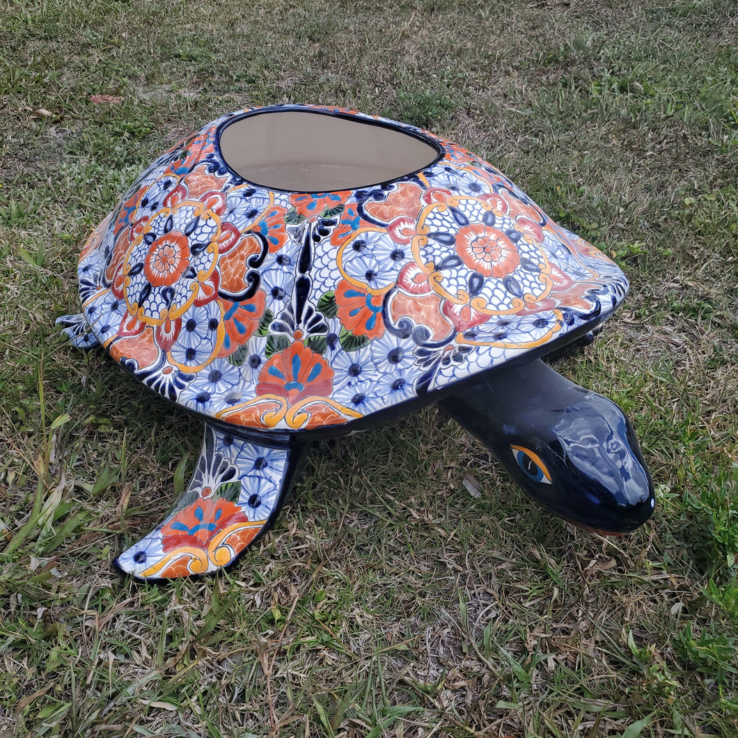 TC Turtle Carey 24