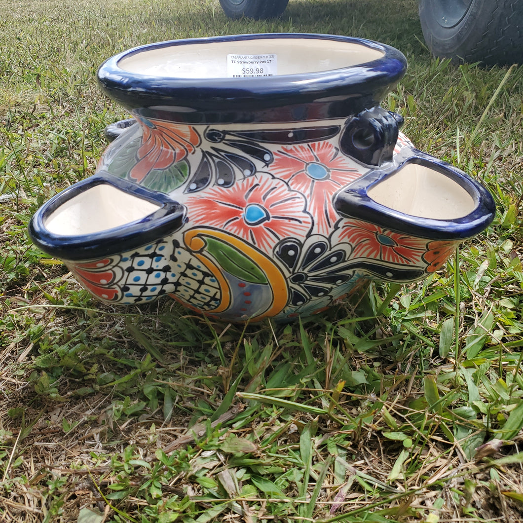 TC Strawberry Pot 17”