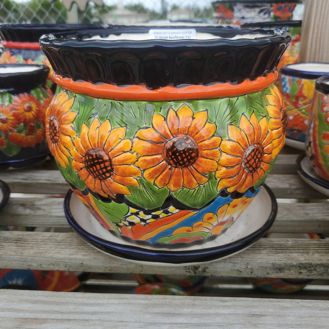 TC Violet Sunflower Pot 8