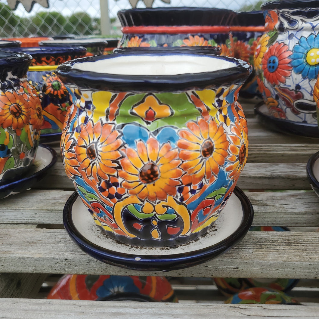 TC Violet Sunflower Pot 6