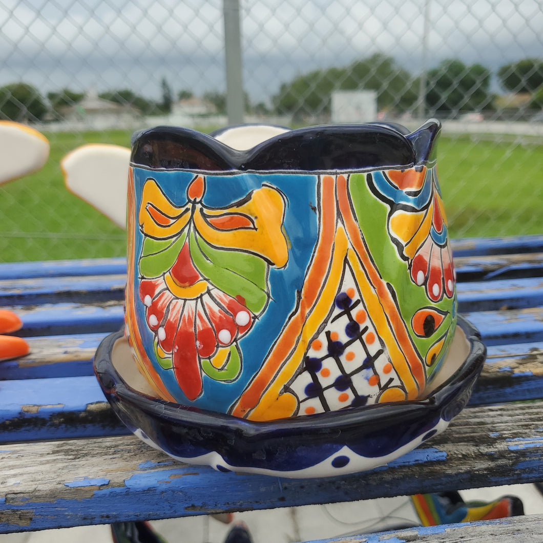 TC Flower Violet Pot 6