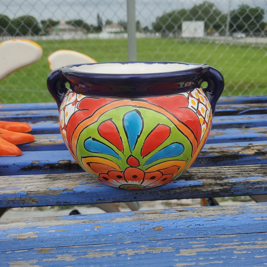 TC Michoacana Pot 6