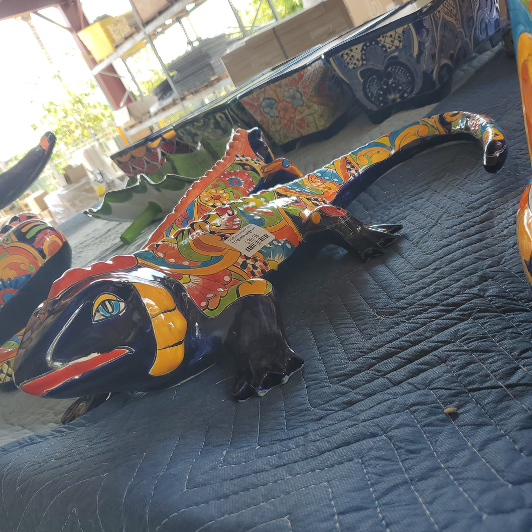 TC Iguana Large 27