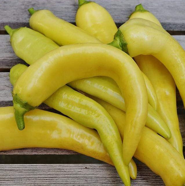 Sweet Banana Mild Pepper 4.5”
