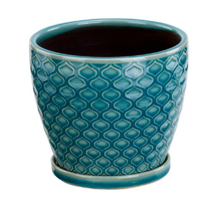 Aqua Scales Pot 6"