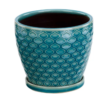 Aqua Scales Pot 6