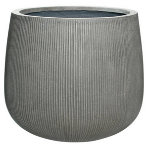 Pax, Dark Grey