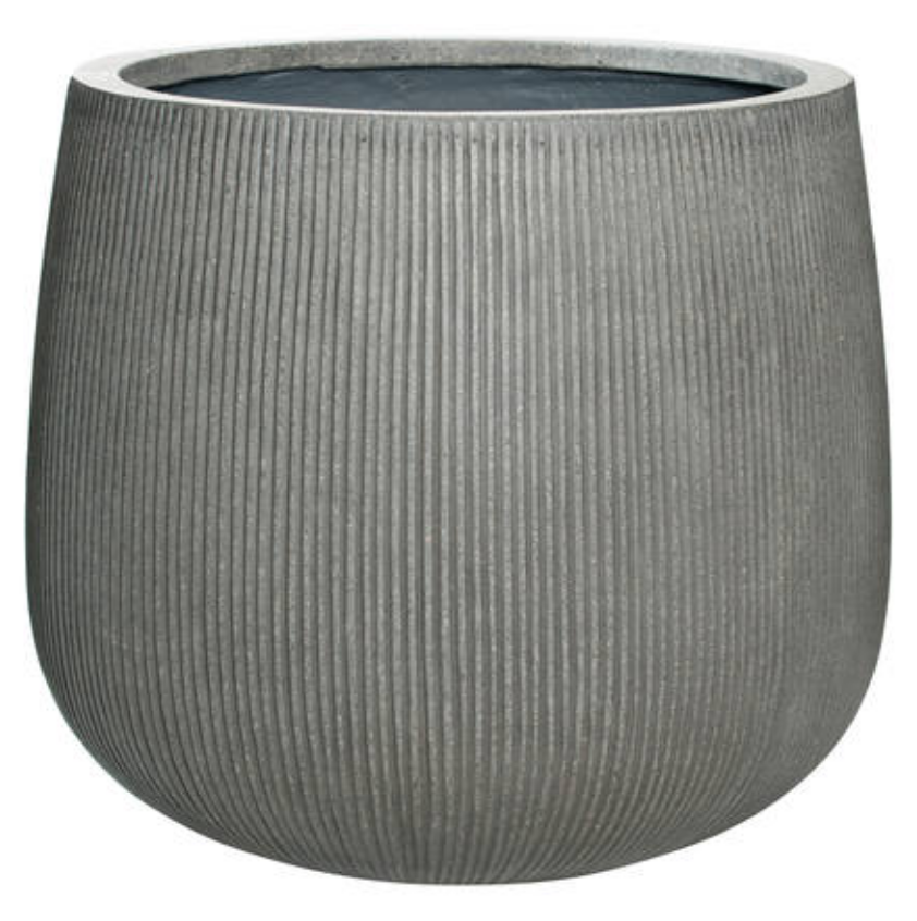 Pax, Dark Grey
