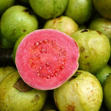 Load image into Gallery viewer, Guava Fruit Tree
