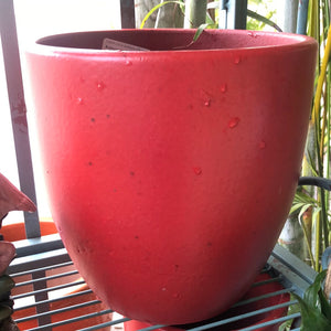 Anthurium Pot 9"