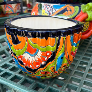 TC Gelatina Mini Pot 8''