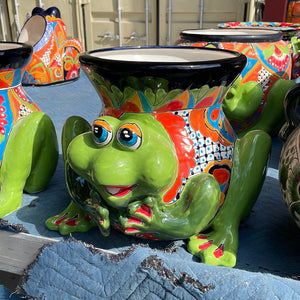 TC Frog Morelia Pot 17"
