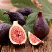 Load image into Gallery viewer, Fig Tree

